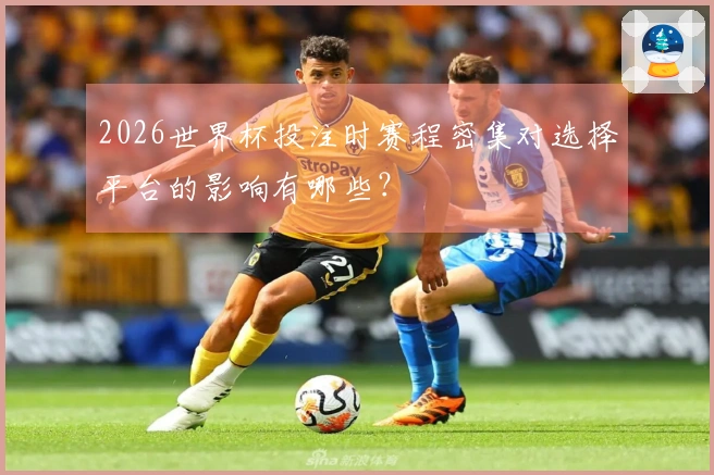 2026世界杯投注时赛程密集对选择平台的影响有哪些？