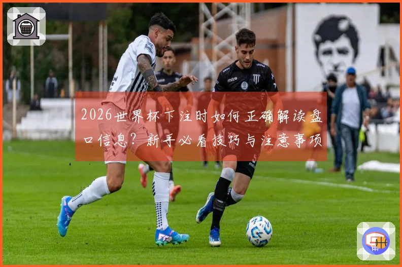2026世界杯下注时如何正确解读盘口信息？新手必看技巧与注意事项
