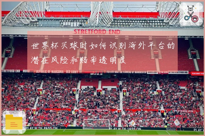 世界杯买球时如何识别海外平台的潜在风险和赔率透明度