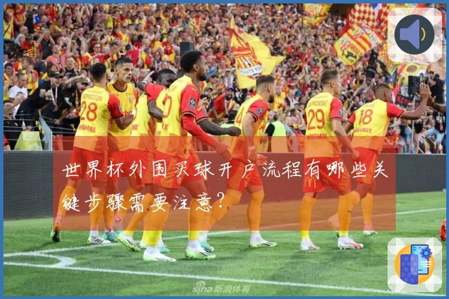 世界杯外围买球开户流程有哪些关键步骤需要注意？