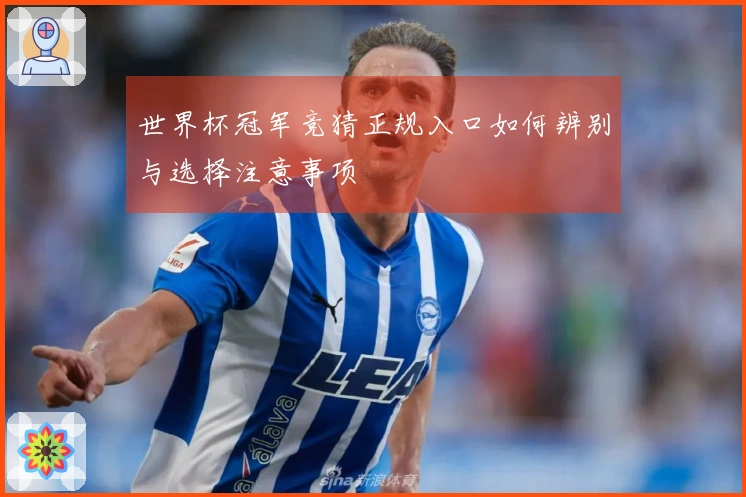 世界杯冠军竞猜正规入口如何辨别与选择注意事项