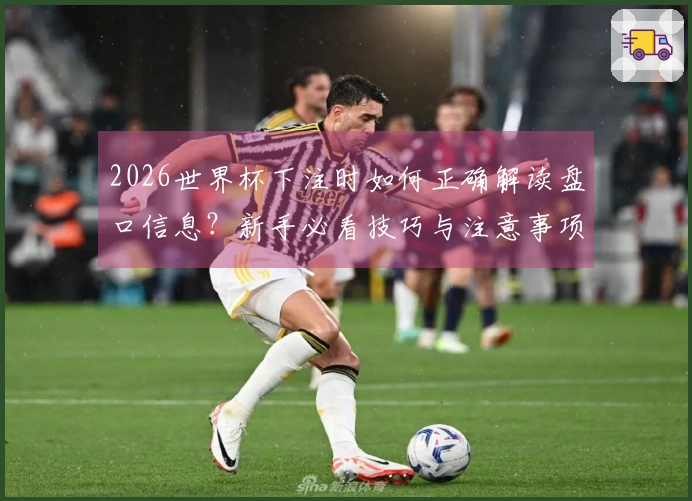 2026世界杯下注时如何正确解读盘口信息？新手必看技巧与注意事项