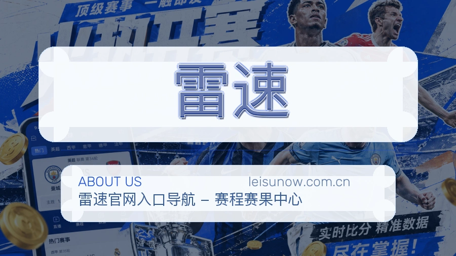 关于雷速